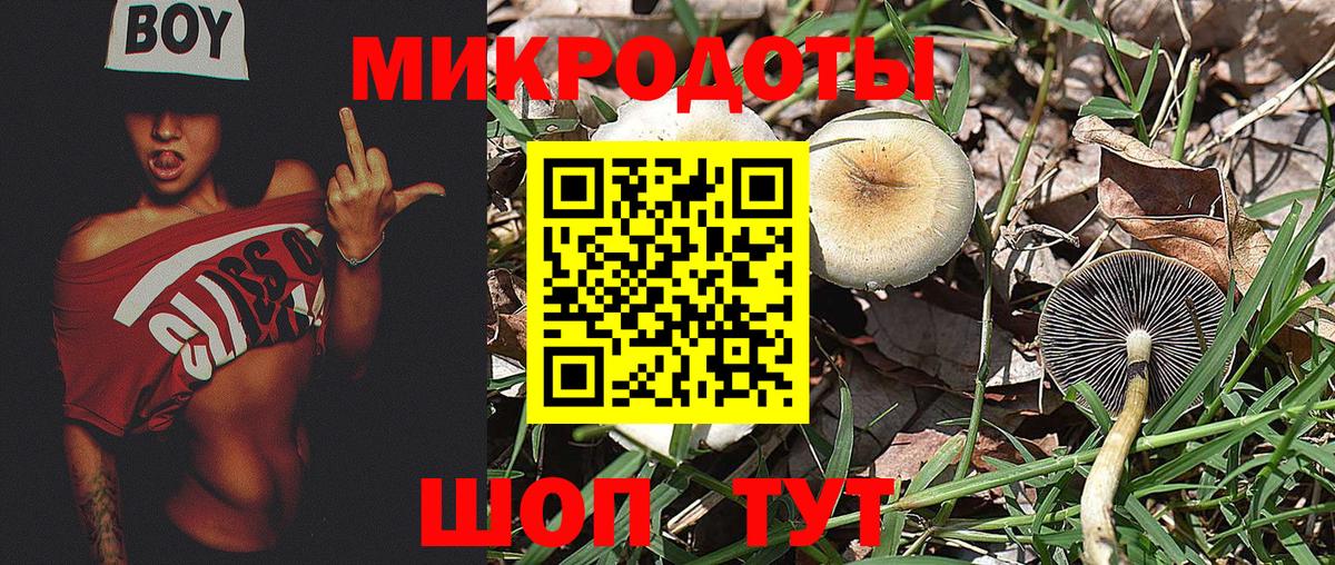 Элиста  даркнет сайт  Галлюциногенные грибы мухоморы  Вход с VPN  Галлюциногенные грибы Psilocybe 