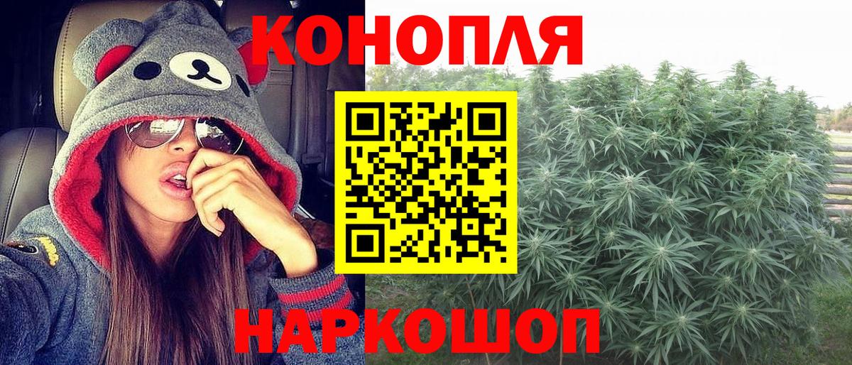 Бошки марихуана марихуана Элиста